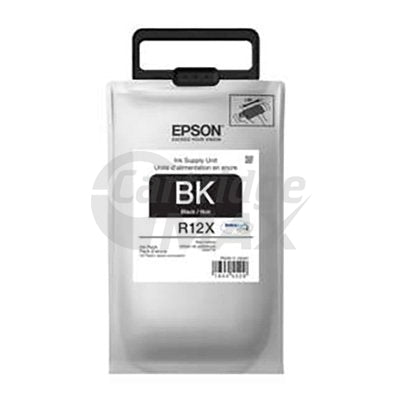 Epson R12X Black Original Ink C13T