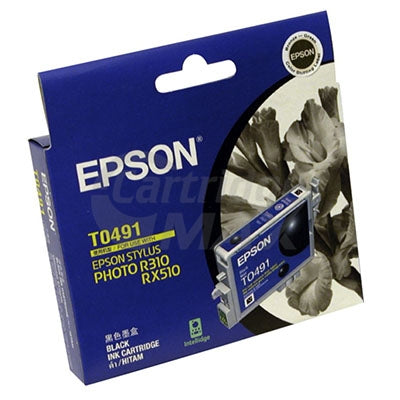 Original Epson T0491 Black Ink Cartridge