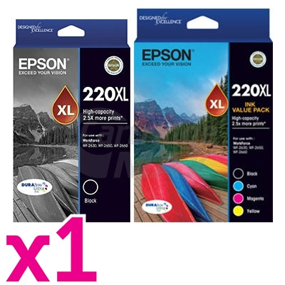 5 Pack Epson 220XL Original High Yield Ink Cartridge [2BK,1C,1M,1Y] [C13T294192,C13T294692]