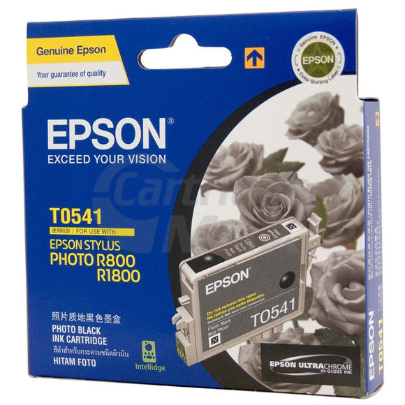 Epson Original T0541 Photo Black Ink Cartridge - 550 pages [C13T054190]